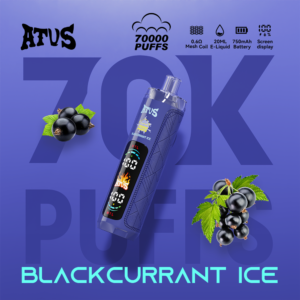 Atvs 70K Disposable Vapeflavor2 wholesale disposable vape